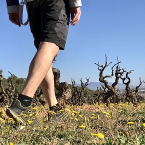 TopWineExperience - Hiking and Wine activity in Penedes, Barcelona