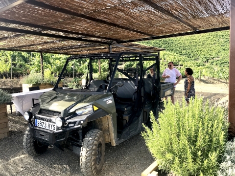 TopWineExperience 4x4 vineyards visit in Priorat
