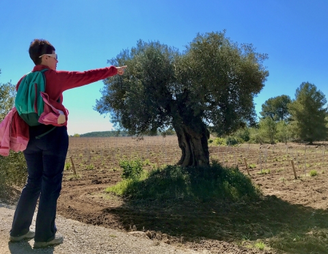 TopWineExperience - Hiking and Wine activity from Sitges, Barcelona