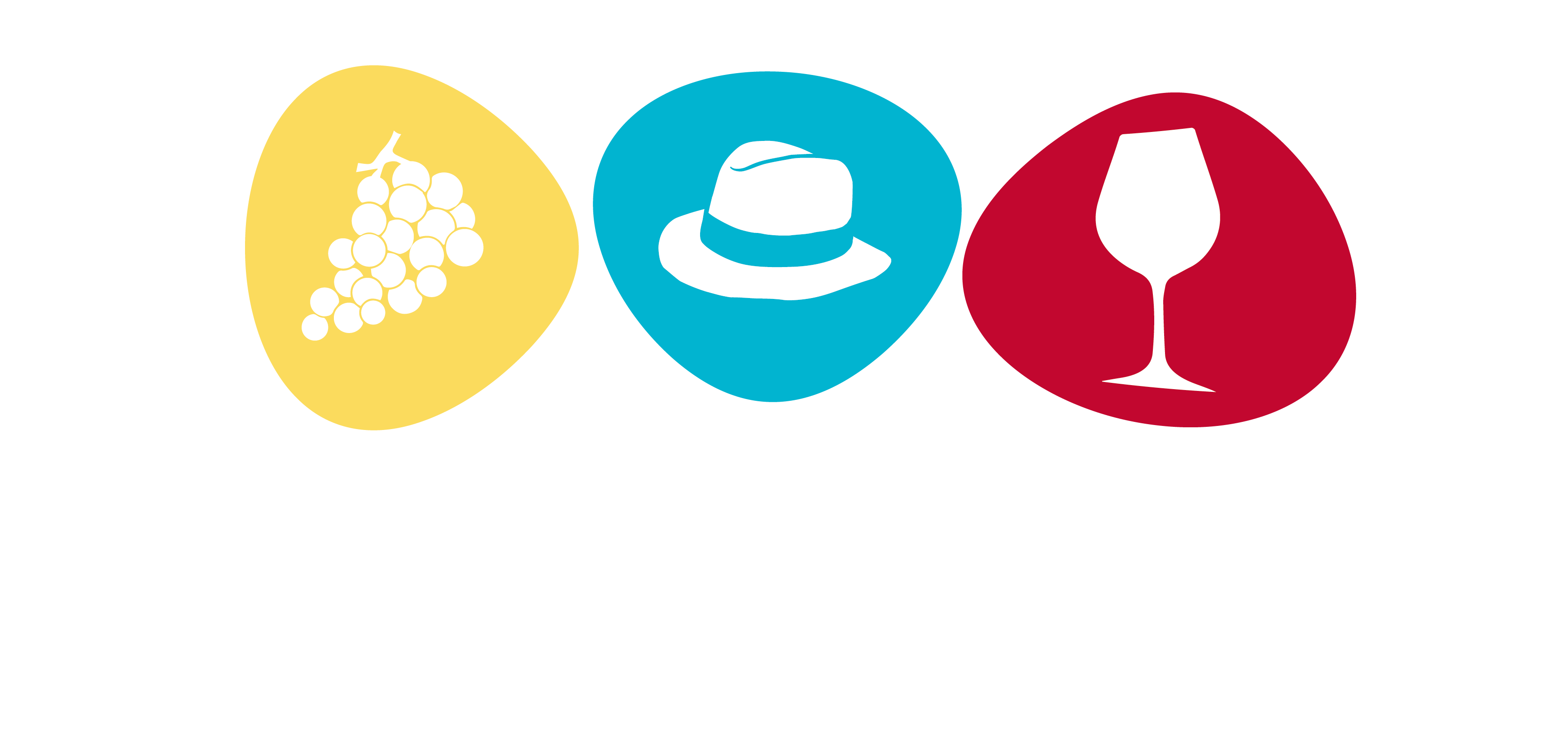 TopWineExperience - Logo