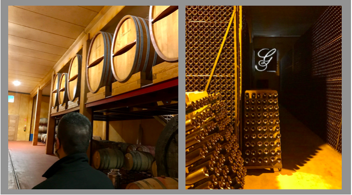 TopWineExperience - Private Premium winery tour from Barcelona, Sitges, Tarragona