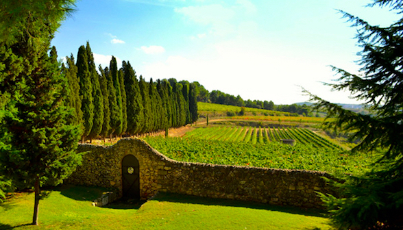TopWineExperience - Penedes Wine Region Landscape Winery Tour