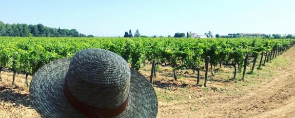 Customized Private Premium wine tours in Barcelona vineyards from Sitges Tarragona Barcelona winery tours and wine tastings TopWineExperience