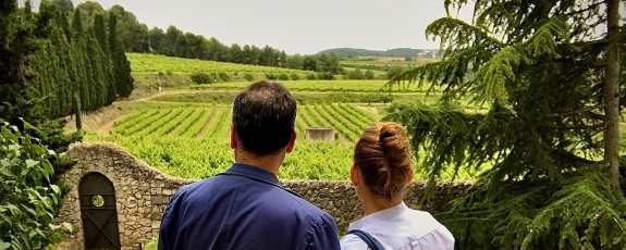 Sustainable Winery Tours from Sitges, Tarragona, Barcelona to Priorat and Penedes, Cava tasting and wine tours TopWineExperience