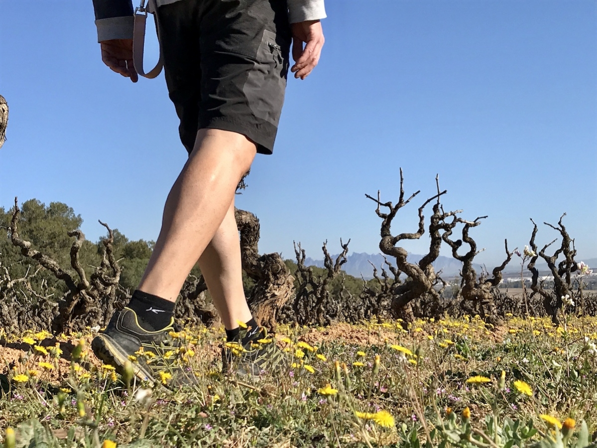 TopWineExperience - Hiking and Wine activity in Penedes, Barcelona