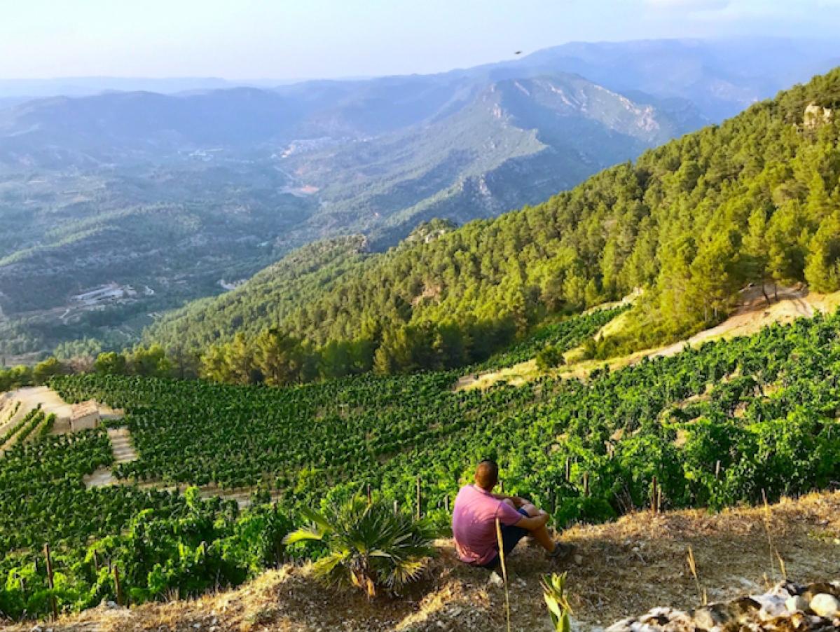 Private Wine Tours from Barcelona, Sitges, Tarragona to Priorat and Penedes - TopWineExperience