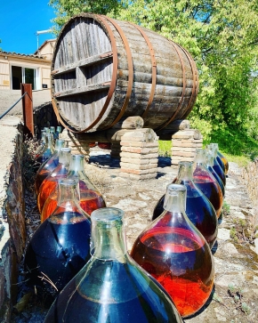 History written through its wines #priorat 

@topwineexperience 🍷🥂
Slow&Cheerful Wine Tourism 🐌😃
.
.
.

#Topwineexperience #privatetour #wineexperience #winetraveler #winetourism #winetrip #premiumwine #privatetours #winetour  #privatewinerytours #luxurywine #luxurywinetours  #Sitges #Tarragona #Barcelona #Sparklingwine #Sparkling #slowtourism #winetravel #winelover  #winerytour #winetasting  #winetrip  #winetour #prioratwine
