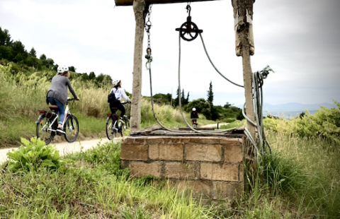 TopWineExperience - E-Bike Wine Tour and Sparkling Tasting