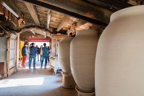 TopWineExperience - Biodynamics and amphora wines