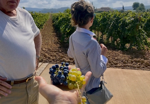 TopWineExperience - Sitges Private Premium Wine tour