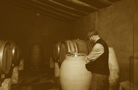 TopWineExperience - Tailor-made wine tours in Barcelona. Organic amphora wines.