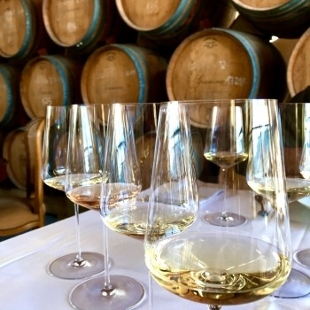 PREMIUM WINE TOUR FOR FOOD LOVERS DISCOVERING BIODYNAMICS' ESSENCES