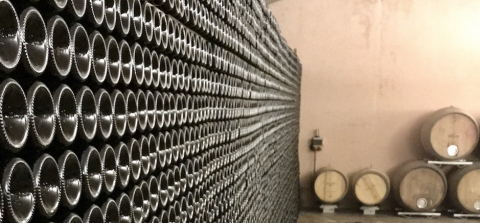 TopWineExperience - Personalized wine tasting tour with organic local brunch